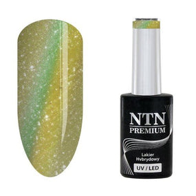 GELLACK MAGNETIC CAT EYE 6D - NR. 219