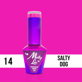 Cocktails & Drinks Collection - 14. Salty Dog